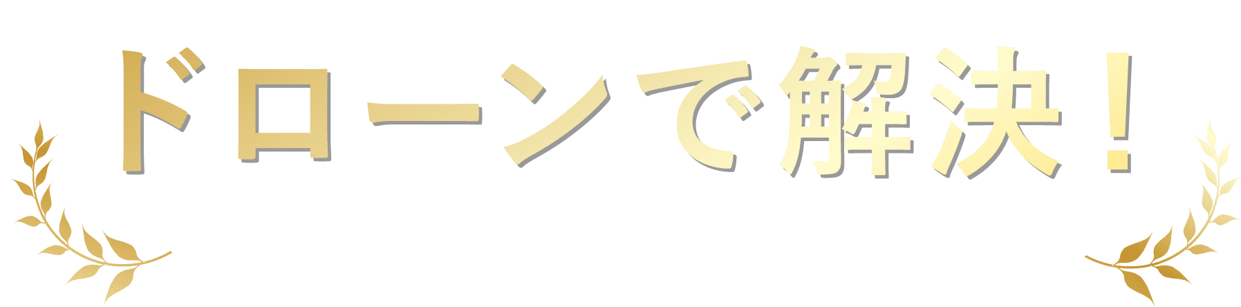 ドローンで解決！